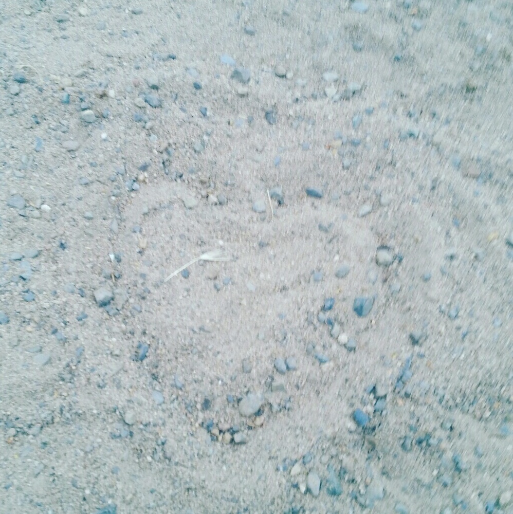 MAKE ME AN OFFER!!!!